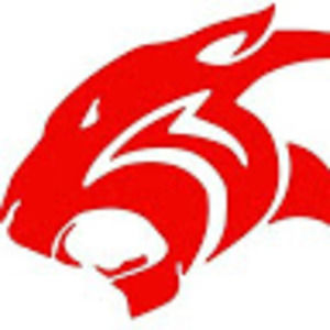 Meet your Posher, Redpanthergaming